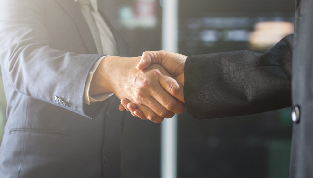 Shaking hand image represent wholesalers in Europe Choose IQF from Egypt